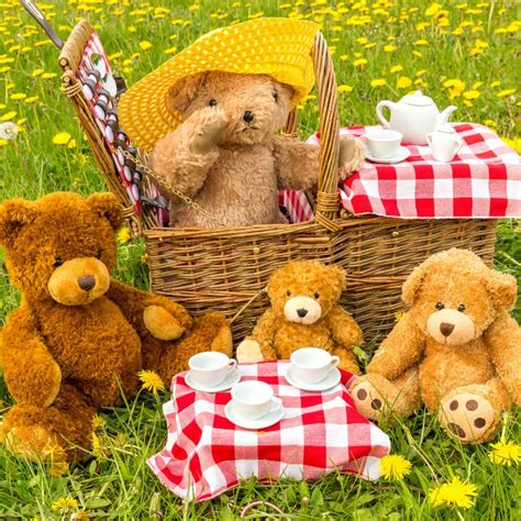 Teddy Bears Picnic 1xbet
